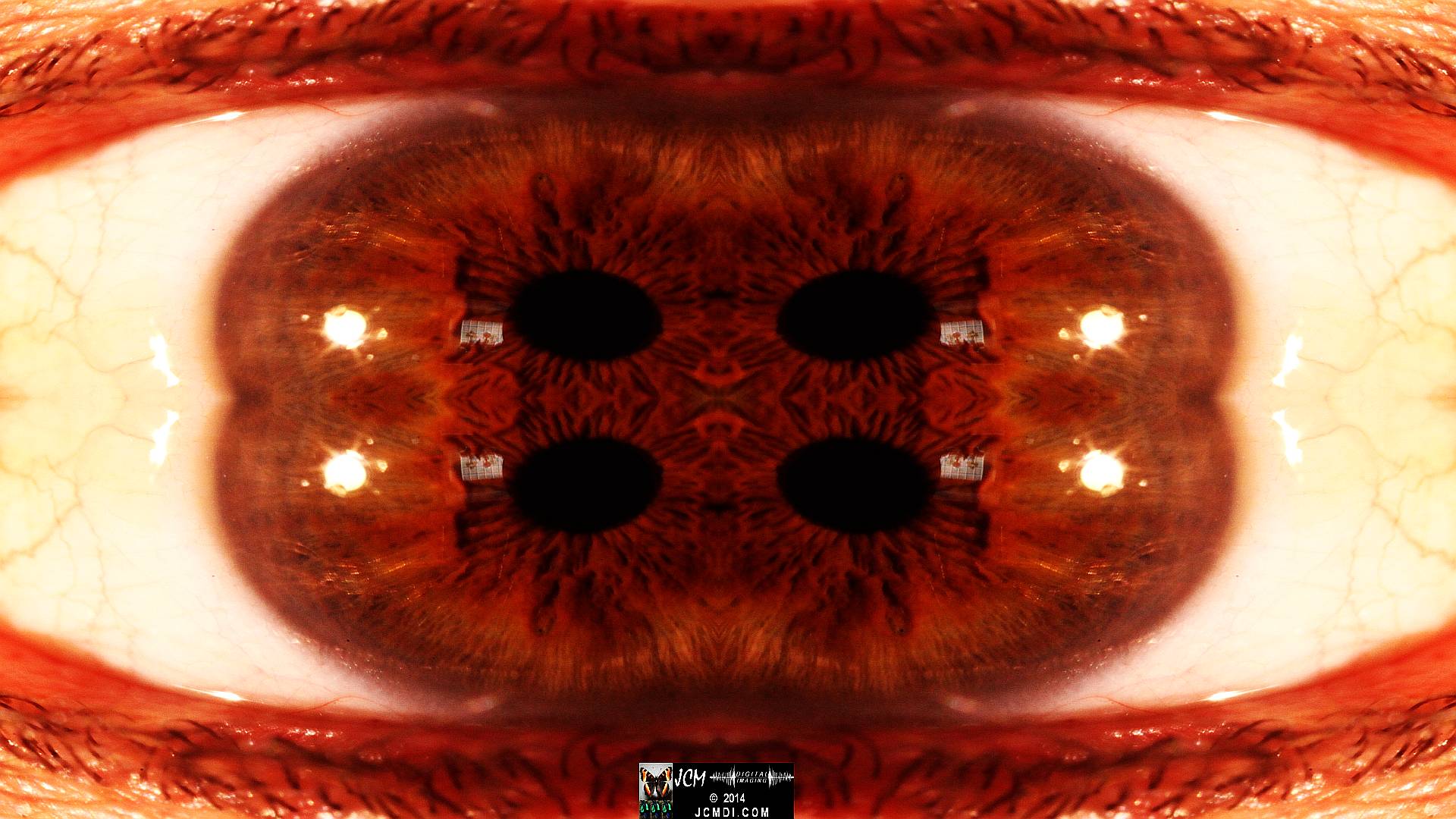 Quadroscopic Artwork made from an image of a real human eye